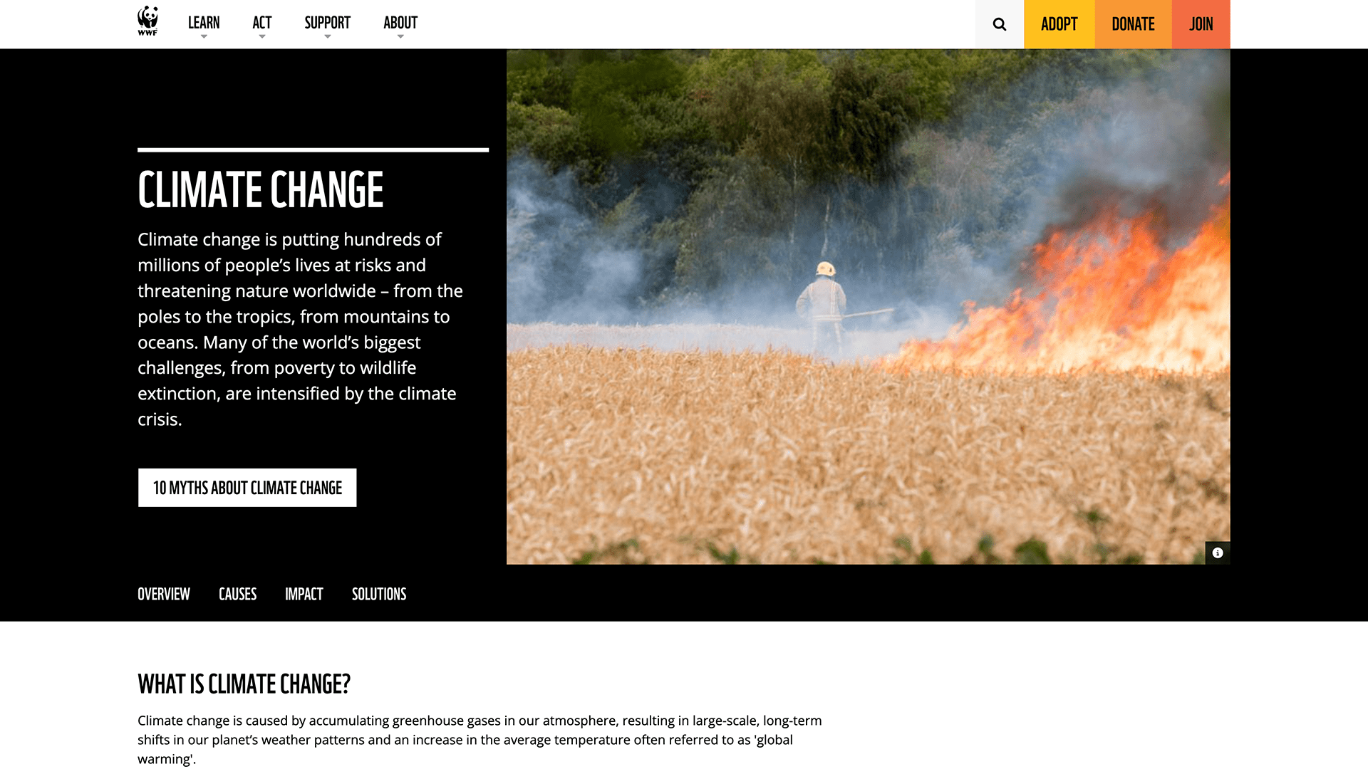 Image of WWF website